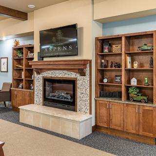 A modern living room featuring a fireplace, flanked by wooden bookshelves and a mounted television above.