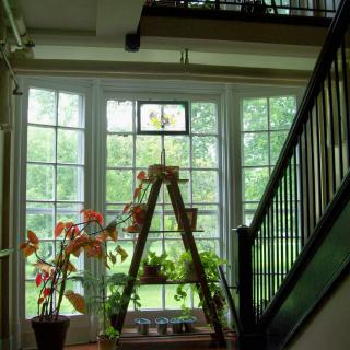 A cozy indoor space with stairs, plants, and a large window letting in natural light.