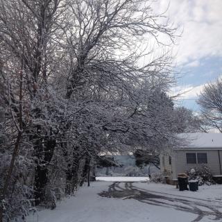 A snowy neighborhood street with trees covered in snow under a cloudy sky.