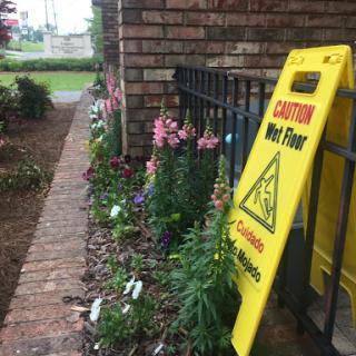 A caution sign indicating a wet floor next to a flowerbed alongside a brick wall.