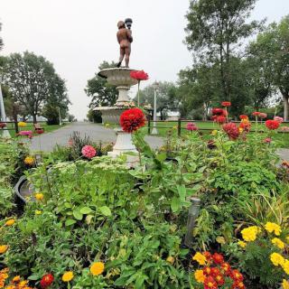 A vibrant garden with various flowers and a statue in a park setting.