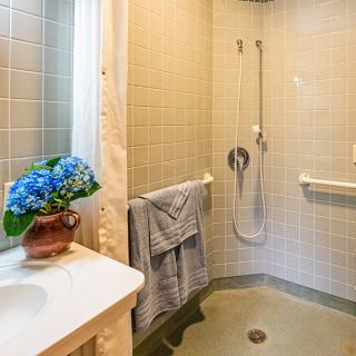A cozy bathroom featuring a walk-in shower, tiled walls, and a countertop with a vase of blue flowers.