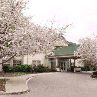 A building entrance surrounded by blooming cherry blossoms in spring.