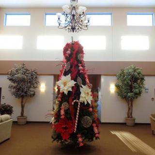 A beautifully decorated Christmas tree stands in a well-lit room, adorned with red and white ornaments under an elegant chandelier.