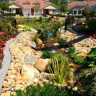 A beautifully landscaped garden featuring a winding stream, rocks, and vibrant plants near residential homes.
