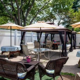 A cozy outdoor patio area with gazebos, umbrellas, and various seating options surrounded by trees.