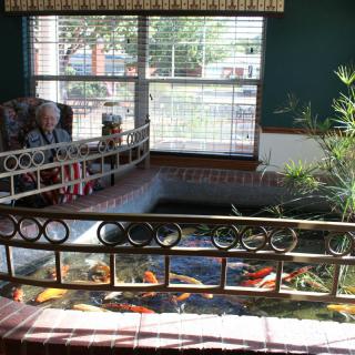 An elderly person sits in an armchair by an indoor koi pond, with sunlight streaming through a large window.