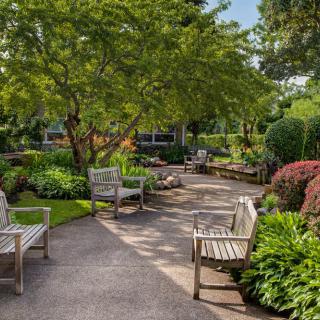 A tranquil garden with wooden benches and a paved pathway surrounded by lush greenery.