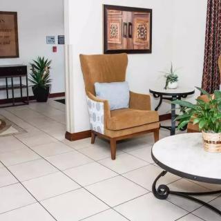 A cozy living room with a brown armchair, coffee table, and indoor plants.