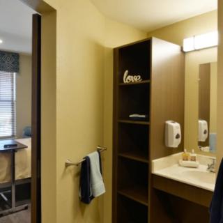 A modern bathroom with a mirror, sink, and shelving unit in a hotel room.