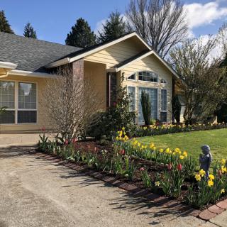 A charming suburban house with a beautifully landscaped front yard in springtime.