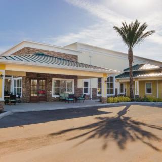 A sunny view of a building entrance with a palm tree casting a shadow.