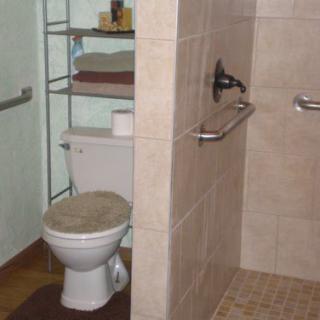 A bathroom featuring a toilet, shower area with grab bars, and a shelving unit.