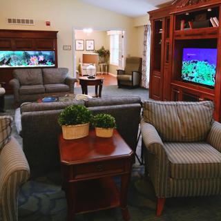 A cozy living room with sofas, armchairs, and two televisions, decorated with indoor plants.