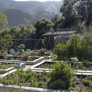 A lush vegetable garden set against a backdrop of scenic mountains.