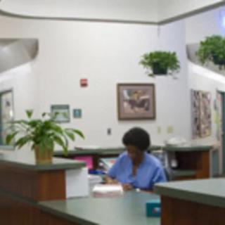 A person working at a reception desk in an office setting with plants and artwork on the walls.