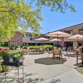 A sunny outdoor patio area with tables, chairs, and umbrellas, surrounded by plants and adjacent to a building.