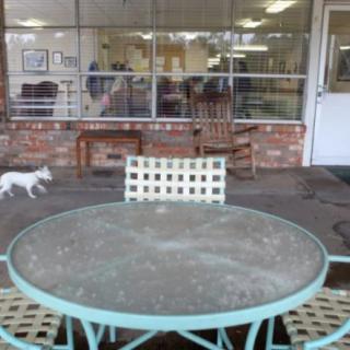 A glass-top patio table with chairs, and a small dog walking nearby in front of a large window.
