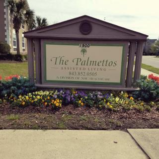 Palmettos Of Charleston