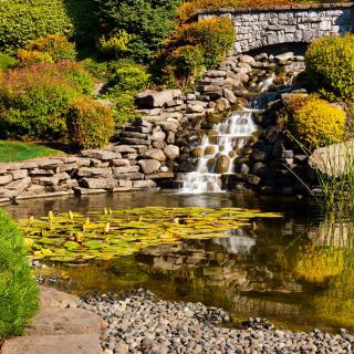 A serene garden scene featuring a small waterfall cascading into a pond surrounded by lush greenery and rocks.