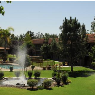 A serene outdoor garden with a fountain and pool surrounded by lush greenery.