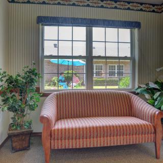 A cozy living room with a striped sofa, framed by large windows and indoor plants.