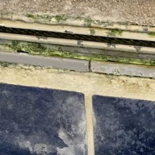 Weathered outdoor tiles with moss growth along the edges.