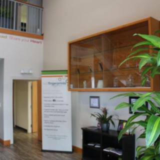 A well-decorated office lobby featuring plants and modern furniture.