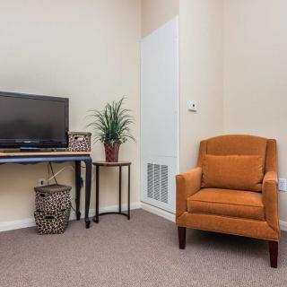A cozy living room corner featuring a comfortable orange armchair, a television on a stand, and an indoor plant on a side table.