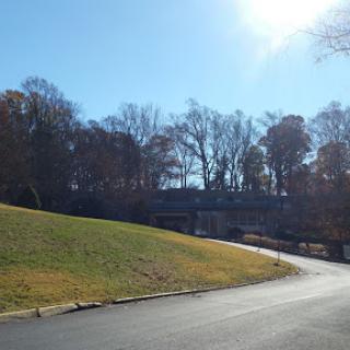 A serene view of a winding road surrounded by trees and grassy hills, basking in sunlight.
