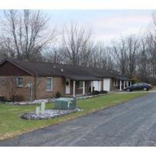 A suburban house with a driveway situated on a quiet road, surrounded by leafless trees.
