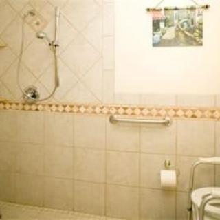 An accessible bathroom equipped with a shower and grab bars.