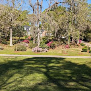 A serene garden scene showcasing blooming flowers and towering trees, casting playful shadows on the lush grass.