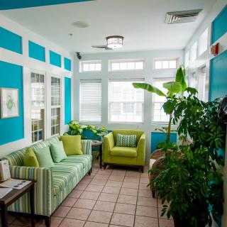 A bright and vibrant living room with green furniture, large windows, and lush plants.