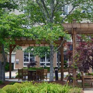 A serene garden space featuring a wooden pergola, outdoor furniture, and lush greenery in an urban setting.