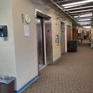 A view of a modern building's hallway featuring elevators and patterned carpeting.