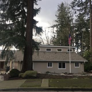 A suburban house surrounded by tall trees with a flagpole in front.
