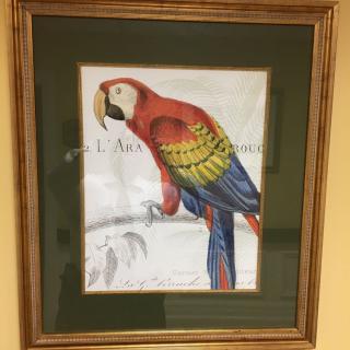 A framed painting of a colorful parrot perched on a branch.