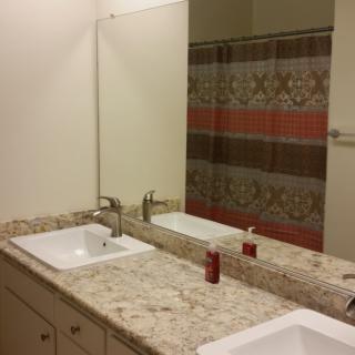 A bathroom with double sinks and a decorative shower curtain.