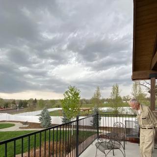 A cloudy day view from a balcony overlooking a landscaped area with trees and furniture.