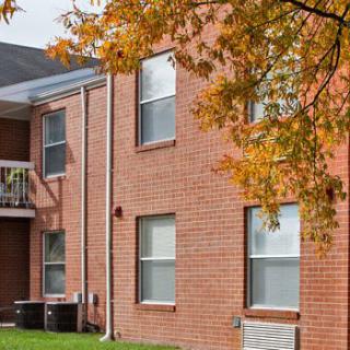 Brick apartment building with autumn leaves.