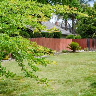 A serene garden scene with a lush lawn, trees, and a wooden fence.