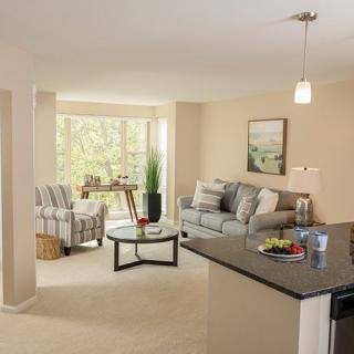 A modern living room with comfortable seating and elegant decor.