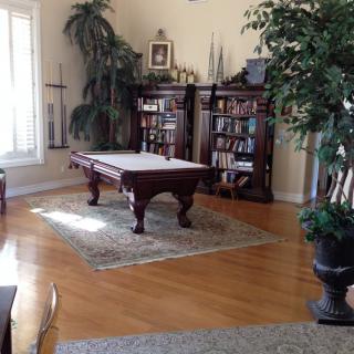 A cozy living room featuring a billiard table, bookshelves, and lush houseplants.