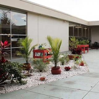 A well-maintained outdoor patio area with potted plants and landscaping features.