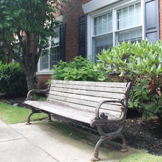 A rustic wooden bench nestled among lush greenery in an urban setting.