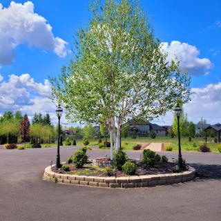 A serene landscape featuring a central tree surrounded by lampposts under a bright blue sky with fluffy clouds.