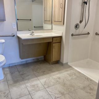 An accessible bathroom with a walk-in shower, grab bars, sink, and toilet.