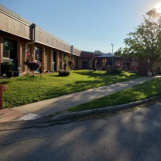 A view of a residential area with a lawn, pathway, and trees basking in sunlight.