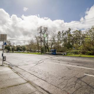 A quiet street lined with trees under a partly cloudy sky.